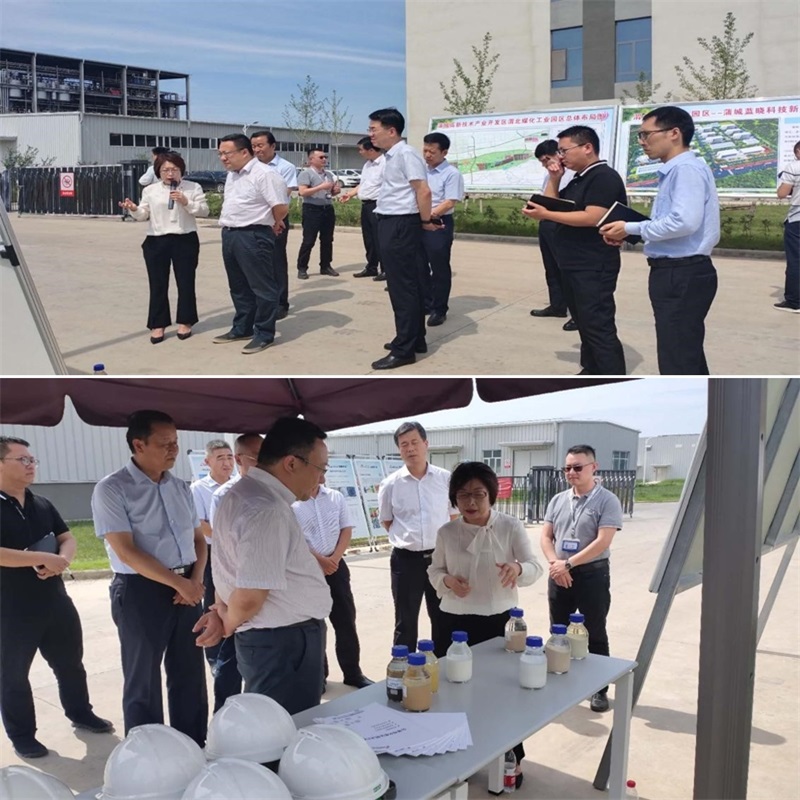 渭南市市長王琳一行調(diào)研蒲城藍(lán)曉新材料產(chǎn)業(yè)園項目 渭南市市長王琳一行調(diào)研蒲城藍(lán)曉新材料產(chǎn)業(yè)園項目