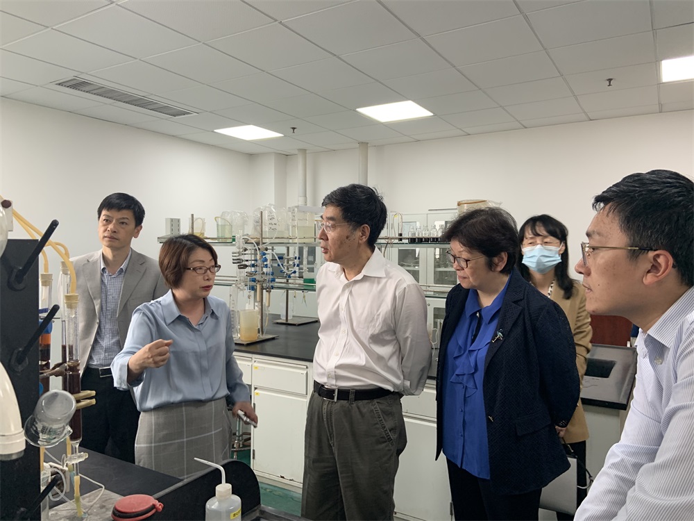 國務院發展研究中心領導蒞臨藍曉科技調研 國務院發展研究中心領導蒞臨藍曉科技調研